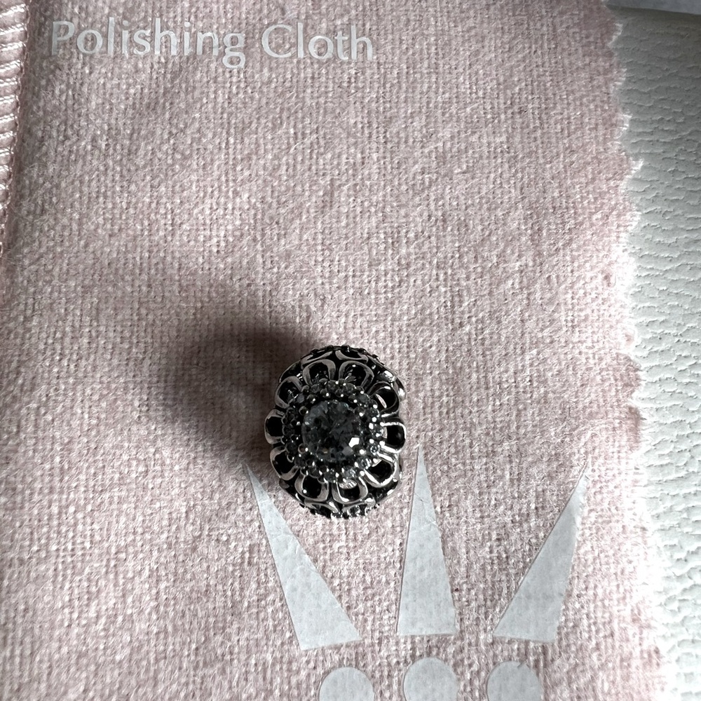 Pandora charm